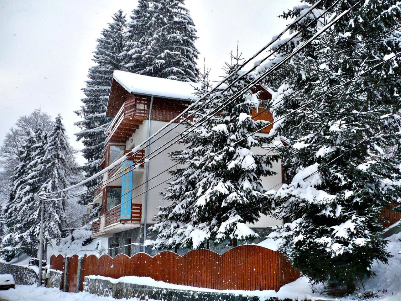 Pension Casa Soarelui Sinaia Extérieur photo